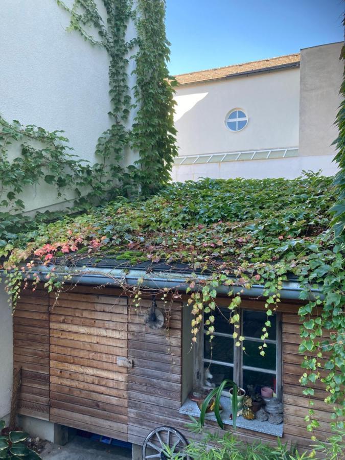 Pension Sunnseitn - Gasthof - Cafe - Weinkeller Haslach an der Muhl Экстерьер фото