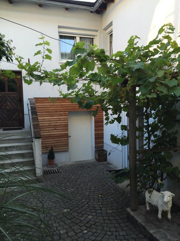 Pension Sunnseitn - Gasthof - Cafe - Weinkeller Haslach an der Muhl Экстерьер фото