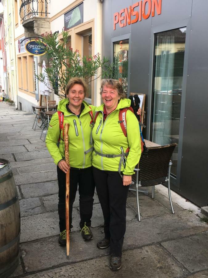Pension Sunnseitn - Gasthof - Cafe - Weinkeller Haslach an der Muhl Экстерьер фото
